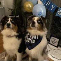 processed/3d455fc9-1902-46f7-9468-28ac9396ef44/facility/956be75c-cd8c-4da6-a705-71dfb0d00ecc