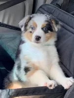 processed/3d455fc9-1902-46f7-9468-28ac9396ef44/facility/fe8da15d-4560-48ca-9edc-f6417a123c3c