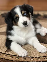 processed/3d455fc9-1902-46f7-9468-28ac9396ef44/facility/feb65226-8118-448d-8cc9-acd9a7db1db0