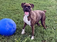 processed/3d49230d-f36a-4ebc-915f-2a755db7f33c/listing/9475e1f0-f0d5-4394-9c36-a9ab605a87ec/9f14b833-4561-494d-b4f3-ea3ba0c081eb