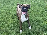 processed/3d49230d-f36a-4ebc-915f-2a755db7f33c/listing/9475e1f0-f0d5-4394-9c36-a9ab605a87ec/b62fd523-f12a-4cc8-866b-7c9b83151c3a