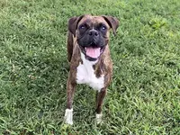 processed/3d49230d-f36a-4ebc-915f-2a755db7f33c/listing/9475e1f0-f0d5-4394-9c36-a9ab605a87ec/f6b6b48a-ed55-4ba3-907e-ea0ed9d4bb56