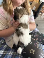 processed/3d49a352-85aa-4800-9d07-53362eb5ae56/listing/63c7719a-7601-4f5d-9e5e-2f2697ee78b3/1fff323d-c1b3-4420-ab2a-beb45600bb77