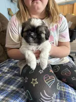 processed/3d49a352-85aa-4800-9d07-53362eb5ae56/listing/63c7719a-7601-4f5d-9e5e-2f2697ee78b3/af19158e-ad88-45b6-8881-81a3314b21c8