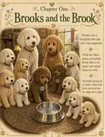 Brooks, a male Goldendoodle for sale in Kissimmee, FL – 3 of 3