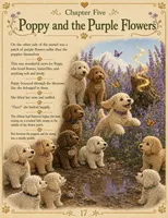 Poppy, a female Goldendoodle for sale in Kissimmee, FL – 3 of 3