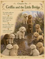 Griffin, a male Goldendoodle for sale in Kissimmee, FL – 3 of 3