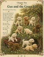 Gus, a male Goldendoodle for sale in Kissimmee, FL – 3 of 3