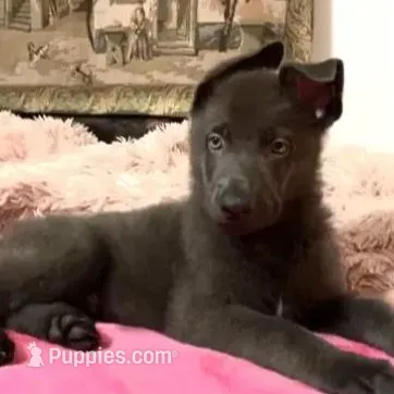 processed/3d61c319-6351-4930-9166-6aec8d320ed3/facility/0a9f83fc-861e-4ac2-97d5-07d1d606b6e9