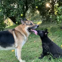 processed/3d61c319-6351-4930-9166-6aec8d320ed3/facility/44f89d0f-a6e6-4df8-89a5-dc628efae1c0