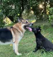 processed/3d61c319-6351-4930-9166-6aec8d320ed3/facility/44f89d0f-a6e6-4df8-89a5-dc628efae1c0