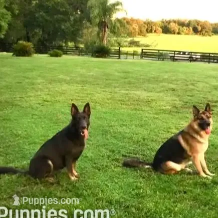 processed/3d61c319-6351-4930-9166-6aec8d320ed3/facility/451bed95-158a-45ee-9757-3586bee5cfe5