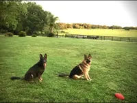 processed/3d61c319-6351-4930-9166-6aec8d320ed3/facility/451bed95-158a-45ee-9757-3586bee5cfe5