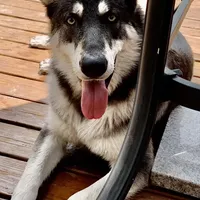 processed/3d61c319-6351-4930-9166-6aec8d320ed3/facility/4c8d1dbb-3645-46e6-8082-c8a02b43e269