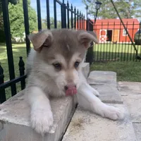 processed/3d61c319-6351-4930-9166-6aec8d320ed3/facility/78fea81b-15a5-4475-b44e-0b45dacddd86