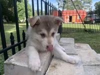 processed/3d61c319-6351-4930-9166-6aec8d320ed3/facility/78fea81b-15a5-4475-b44e-0b45dacddd86