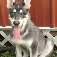 processed/3d61c319-6351-4930-9166-6aec8d320ed3/facility/b150788d-f918-4f39-88a0-33e257e494ae