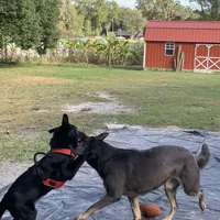 processed/3d61c319-6351-4930-9166-6aec8d320ed3/facility/c7086103-f23e-4ab8-9041-4abf6be798ec