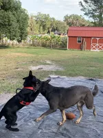 processed/3d61c319-6351-4930-9166-6aec8d320ed3/facility/c7086103-f23e-4ab8-9041-4abf6be798ec