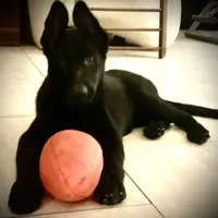 processed/3d61c319-6351-4930-9166-6aec8d320ed3/facility/e3617322-e68c-471e-be23-e7553818602f