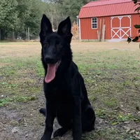 processed/3d61c319-6351-4930-9166-6aec8d320ed3/facility/e8e5aeee-b120-4a30-8dae-61da28a7cda5