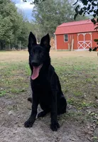 processed/3d61c319-6351-4930-9166-6aec8d320ed3/facility/e8e5aeee-b120-4a30-8dae-61da28a7cda5