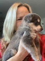 processed/3d61c319-6351-4930-9166-6aec8d320ed3/listing/3dc77bd6-4625-4a00-ba2a-11598f81d0a0/307952fd-ce0a-43c0-98a7-e0b673a4f311