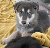 processed/3d61c319-6351-4930-9166-6aec8d320ed3/listing/3dc77bd6-4625-4a00-ba2a-11598f81d0a0/a00fcf1b-d9ad-4dcf-8d9d-952a4a60272b