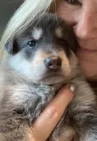 processed/3d61c319-6351-4930-9166-6aec8d320ed3/listing/3dc77bd6-4625-4a00-ba2a-11598f81d0a0/a2294cab-dda5-4cc1-99be-31c30cc0d9a5