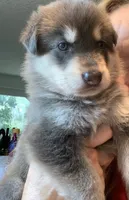 processed/3d61c319-6351-4930-9166-6aec8d320ed3/listing/3dc77bd6-4625-4a00-ba2a-11598f81d0a0/ffd75f34-93d9-4b98-831f-6b68d93fab24