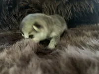 processed/3d61c319-6351-4930-9166-6aec8d320ed3/listing/97a3d573-1829-4e1a-80dc-962f522269a5/2e1b338f-5079-4f1f-8692-0bdcf942493b