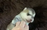 processed/3d61c319-6351-4930-9166-6aec8d320ed3/listing/97a3d573-1829-4e1a-80dc-962f522269a5/45c71023-568a-4a12-8fbf-f4241b8f6cc0