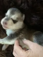 processed/3d61c319-6351-4930-9166-6aec8d320ed3/listing/97a3d573-1829-4e1a-80dc-962f522269a5/6f4e7876-99bb-442d-ba47-0215ab27a243