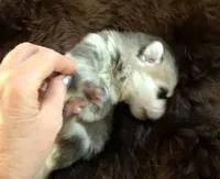 processed/3d61c319-6351-4930-9166-6aec8d320ed3/listing/97a3d573-1829-4e1a-80dc-962f522269a5/78649adb-1171-4cf3-9de8-2df144d08ae4