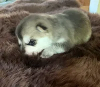 processed/3d61c319-6351-4930-9166-6aec8d320ed3/listing/97a3d573-1829-4e1a-80dc-962f522269a5/7e82b124-0d10-4cec-8bf8-cfe44251932b