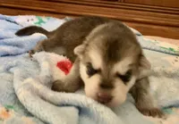 processed/3d61c319-6351-4930-9166-6aec8d320ed3/listing/97a3d573-1829-4e1a-80dc-962f522269a5/e6108d56-5d38-4b98-b5ba-48850ac14b1f