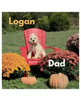 processed/3d70423a-6754-4229-b8dd-52ef806fe8f8/listing/3ab95c33-89ca-446b-8572-4322b6ee5611/51254435-cd77-45af-af81-6b31950877d9