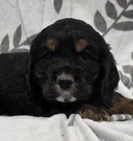 processed/3d70423a-6754-4229-b8dd-52ef806fe8f8/listing/3ab95c33-89ca-446b-8572-4322b6ee5611/e5679ad6-5f4b-46db-87e9-9aa69830a2ac