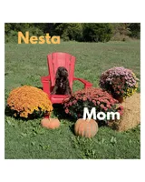 processed/3d70423a-6754-4229-b8dd-52ef806fe8f8/listing/3ab95c33-89ca-446b-8572-4322b6ee5611/fe71b55b-4a14-4b49-9324-1251f540f320