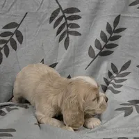 processed/3d70423a-6754-4229-b8dd-52ef806fe8f8/listing/7b0dba6b-8e79-49a8-9368-6843e79aff37/600975ca-aa87-45b2-ba5c-996abdb687b0