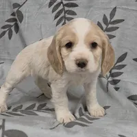 processed/3d70423a-6754-4229-b8dd-52ef806fe8f8/listing/8edb0cf9-e5c2-4580-9802-9e7a8da989f5/0fb07dfc-7f57-4017-be35-28192f3dc2b2