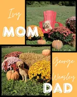 Pippin, a male Cockapoo for sale in Neosho, MO – Photo 9 of 9