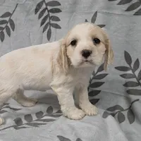 processed/3d70423a-6754-4229-b8dd-52ef806fe8f8/listing/b4e38285-0cfd-4676-b197-881ab2bb60be/aebcb2d6-b0cc-4a43-a1a9-464b43bd87b2