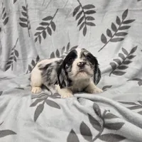 processed/3d70423a-6754-4229-b8dd-52ef806fe8f8/listing/c27aa7e2-dd22-4294-83eb-6447d604020f/2a59e372-701a-4a04-b67e-2b4f2931d7df