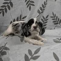 processed/3d70423a-6754-4229-b8dd-52ef806fe8f8/listing/c27aa7e2-dd22-4294-83eb-6447d604020f/f3ba1b37-b86e-4afc-a493-c2092fc8de2a