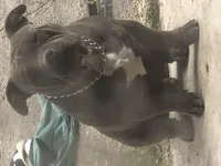 processed/3d724046-7f9c-455b-ba84-971a85df44f9/facility/9f3f694e-eeda-4b59-b955-37ba23d04752