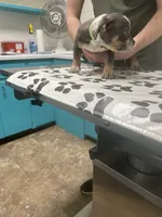 processed/3d724046-7f9c-455b-ba84-971a85df44f9/listing/75217b19-b17f-4643-8157-df93eb10be73/00a57d80-5a6c-4eb8-ad37-51bd4a03471e