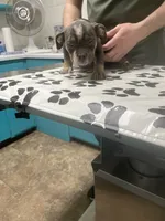 processed/3d724046-7f9c-455b-ba84-971a85df44f9/listing/75217b19-b17f-4643-8157-df93eb10be73/0767e95d-f7b4-415d-a487-6df43d1220a7