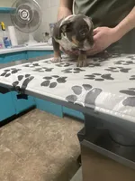 processed/3d724046-7f9c-455b-ba84-971a85df44f9/listing/75217b19-b17f-4643-8157-df93eb10be73/0a6d75a8-2074-40e4-bd73-121693747355