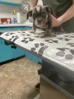 processed/3d724046-7f9c-455b-ba84-971a85df44f9/listing/75217b19-b17f-4643-8157-df93eb10be73/802827e4-e9a7-4a4c-9f9e-ad37ff08f913